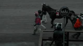 Vidéo de la course PMU SUNDSVALL OPEN TROT 30 AR - I SAMARBETE MED WECALL SPORTS - SPARTRAPPA