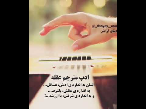 ادب مترجم عقله