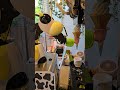 東京アオヤス ソフトクリームロボット