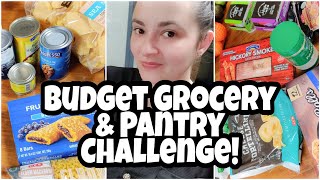 One Week Grocery Haul & Meal Plan | Budget Grocery & Pantry Challenge | HEB Grocery Haul
