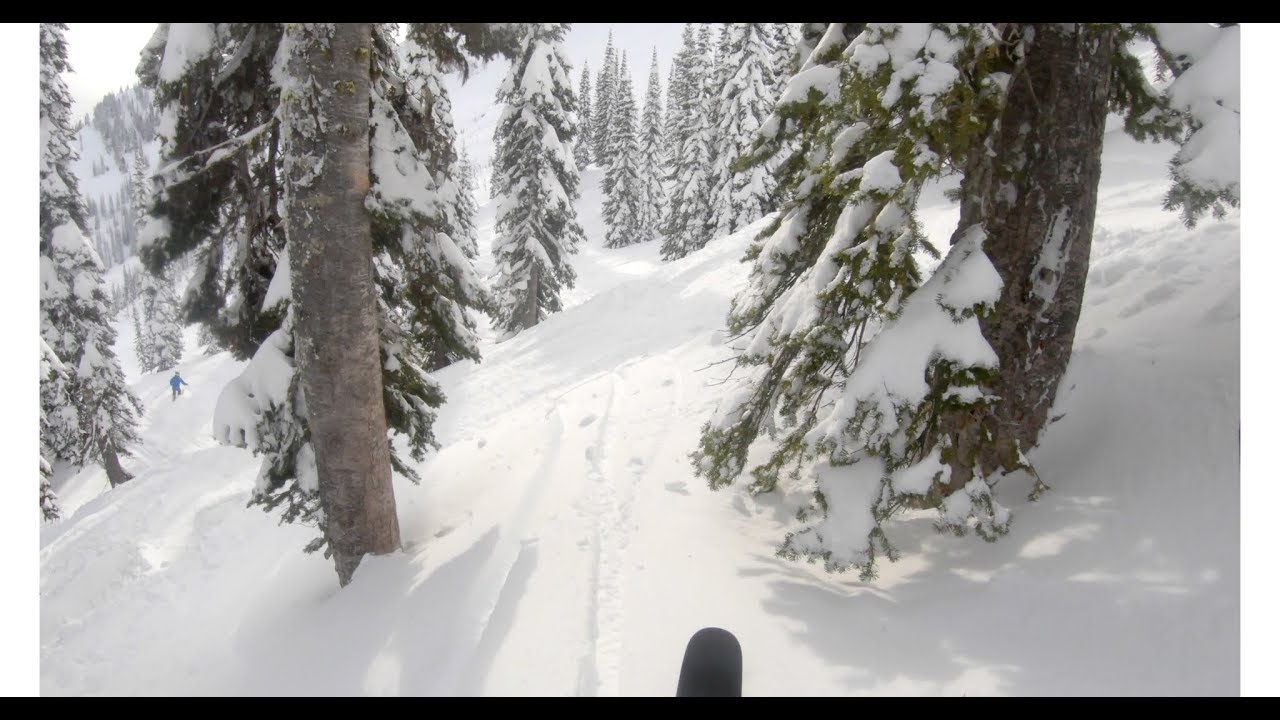 Fernie Alpine Resort Tree Skiing in the Lizard Bowl YouTube