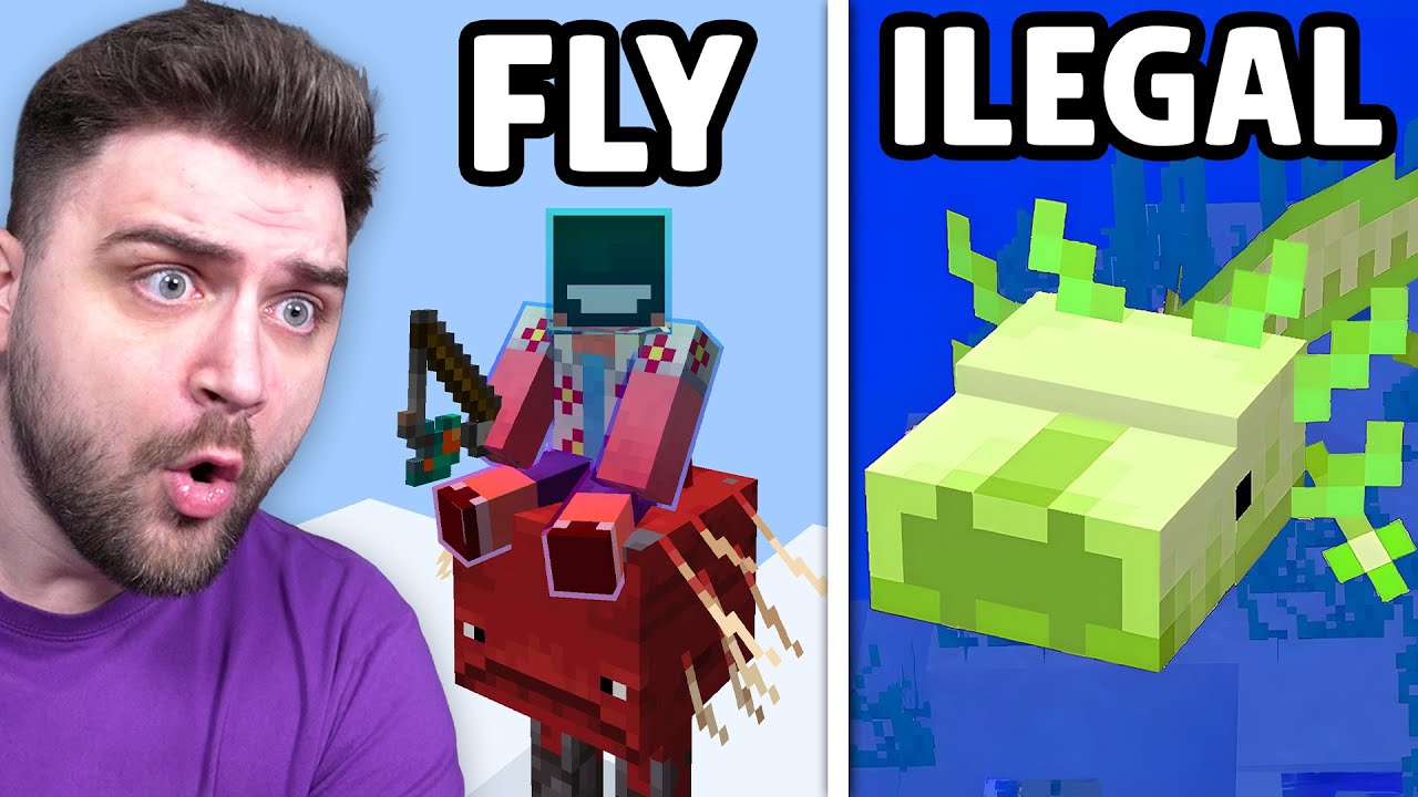 Mituri SUPER ILEGALE pe Minecraft !
