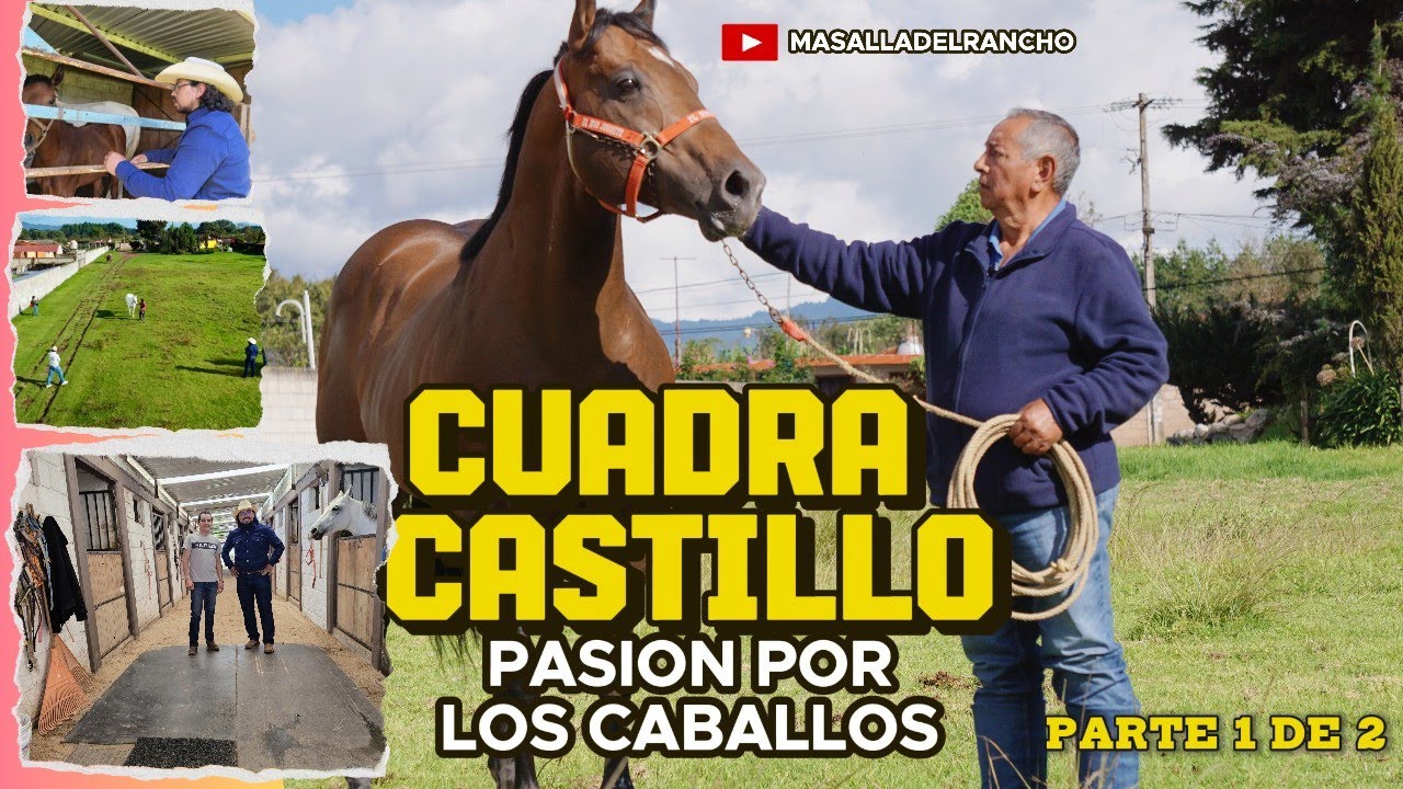 🐎CUADRA CASTILLO🐎 / pasión por los caballos / PARTE 1 DE 2