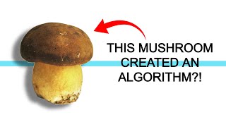 Can Mushrooms Beat Man-Made Algorithms?