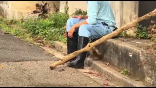 Download Lagu A short video when he was three months old cute baby punchu 😘😘😘 #lifeisbutadream  #がんばれパンチくん  #cute  MP3