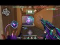 i love the chronovoid vandal