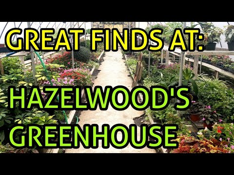 homesteading in nevada SUPPORT YOUR LOCAL, SMALL BUSINESSES