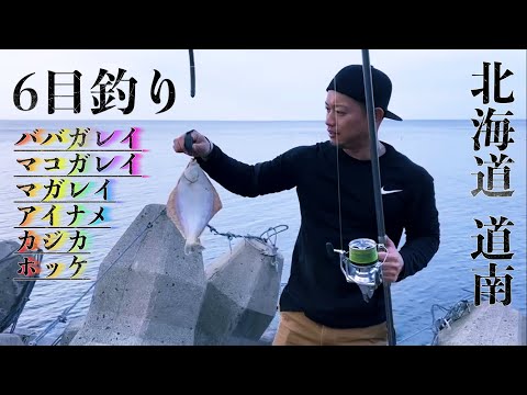 ババガレイも出た！6目釣り【道南】