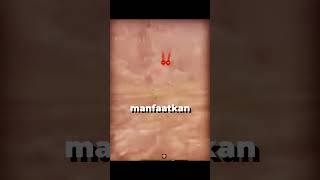 ATAC Blitz: Light Tank Gede Damage Ganas!