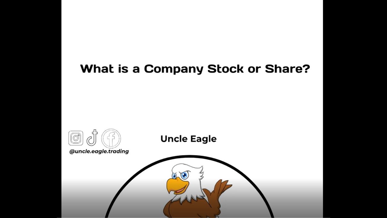 minute Stock Education: What is a Company Share?