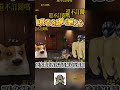 叫声爸爸给个非洲之心 #三角洲行动 #三角洲行动欢乐剧场 #funny #沙雕剧情  #内容过于真实  #猫meme #chemms #8bit #遊戲 #游戏