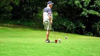 Wild Willie's Golf