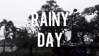 Rainy Day in Cileungsi (Cinematic)
