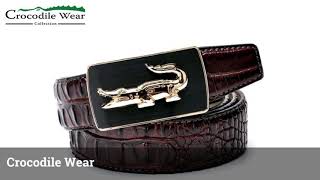 Crocodile Wear Brand