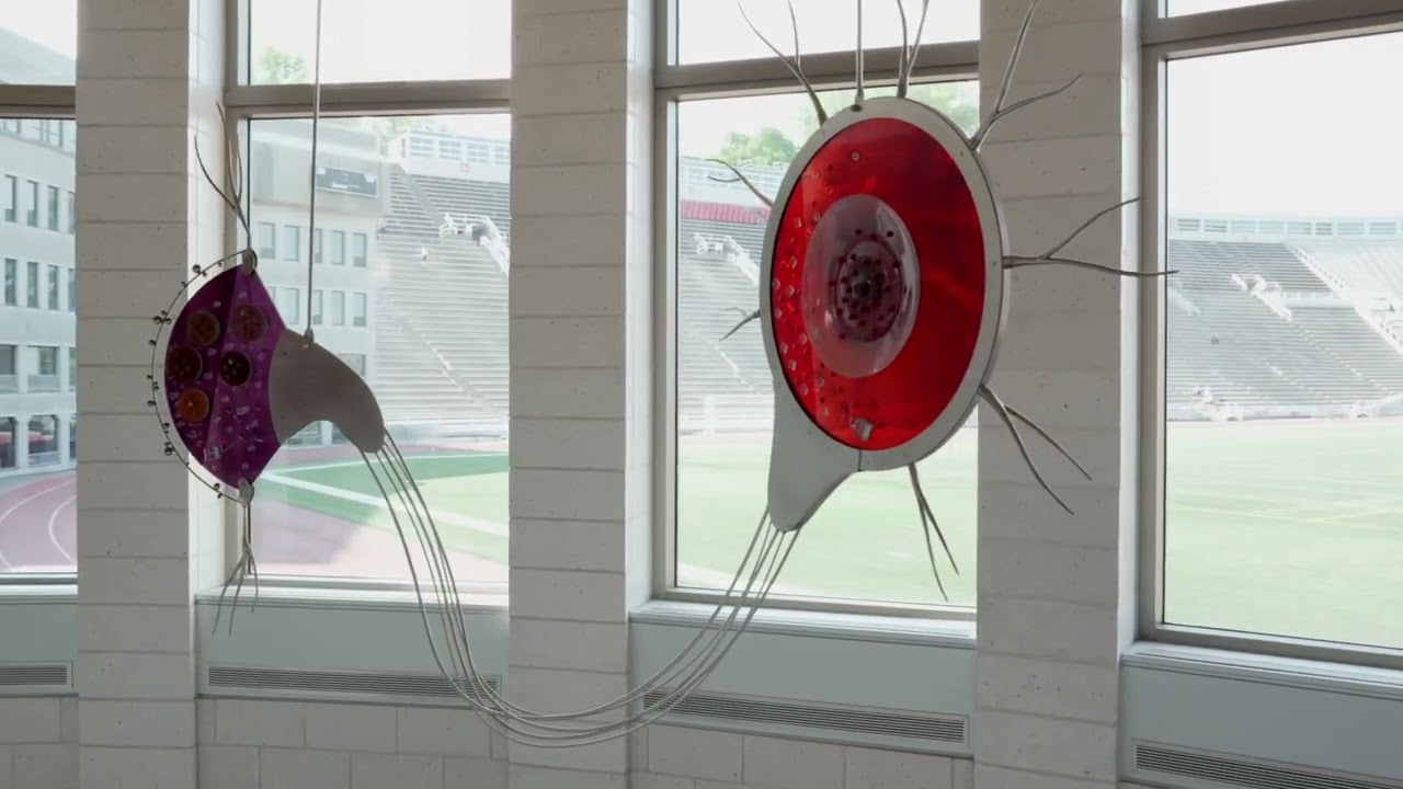 Ludmer Centre for Neuroinformatics & Mental Health