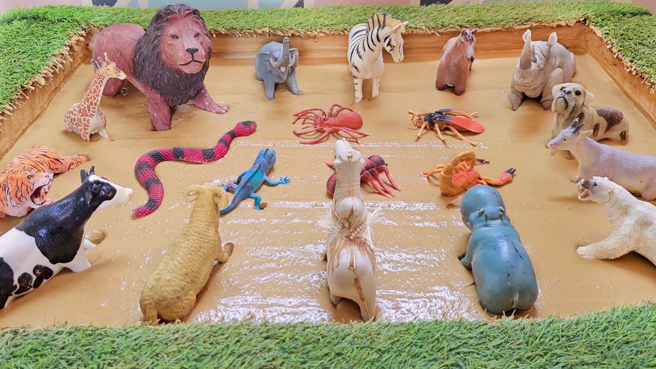 A Captivating Exploration of African Jungle Animals and insects in Muddy Realms!