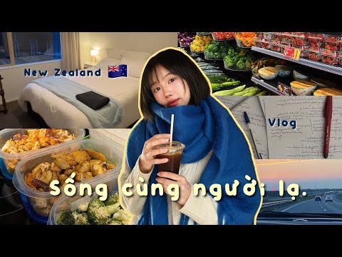 Lần đầu ở cùng người bản xứ: đi chợ, nấu ăn, chuẩn bị đi học & cú sốc văn hoá (New Zealand vlogs)