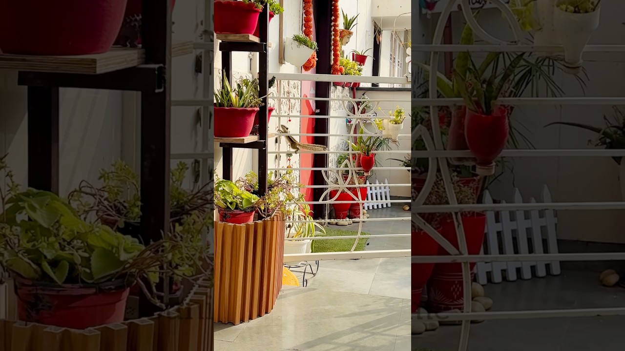 Garden inspection by little one 