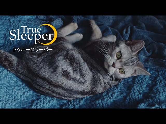 ショップジャパン トゥルースリーパー プレミアケア のcm はじめてのフィット感 篇 寝起き絶好調のヒミツ 篇 Cm など最新の動画をまとめるサイト 動画now ショップジャパン トゥルースリーパー プレミアケア のcm はじめてのフィット感 篇 寝起き絶好調のヒミツ 篇 Cm など最新の動画をまとめるサイト 動画now