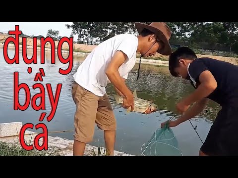Câu cá sông , đụng bầy cá giật đã tay - quá phê luôn - River fishing, touching fish jerks hands
