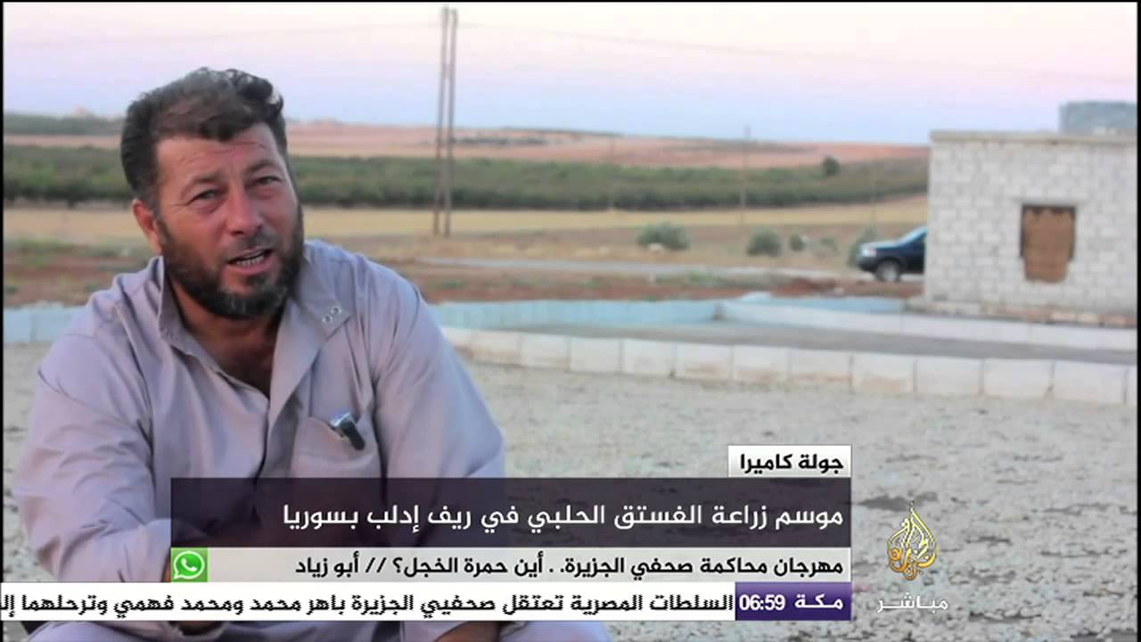 جولة كاميرا..موسم زراعة الفستق  الحلبي بريف إدلب