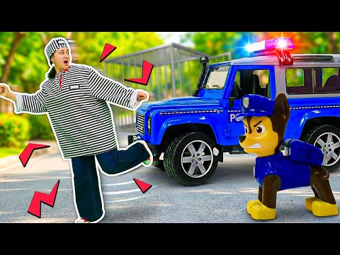 Master TocToc aiuta i cuccioli a spegnere il fuoco! Video di giochi per bambini.