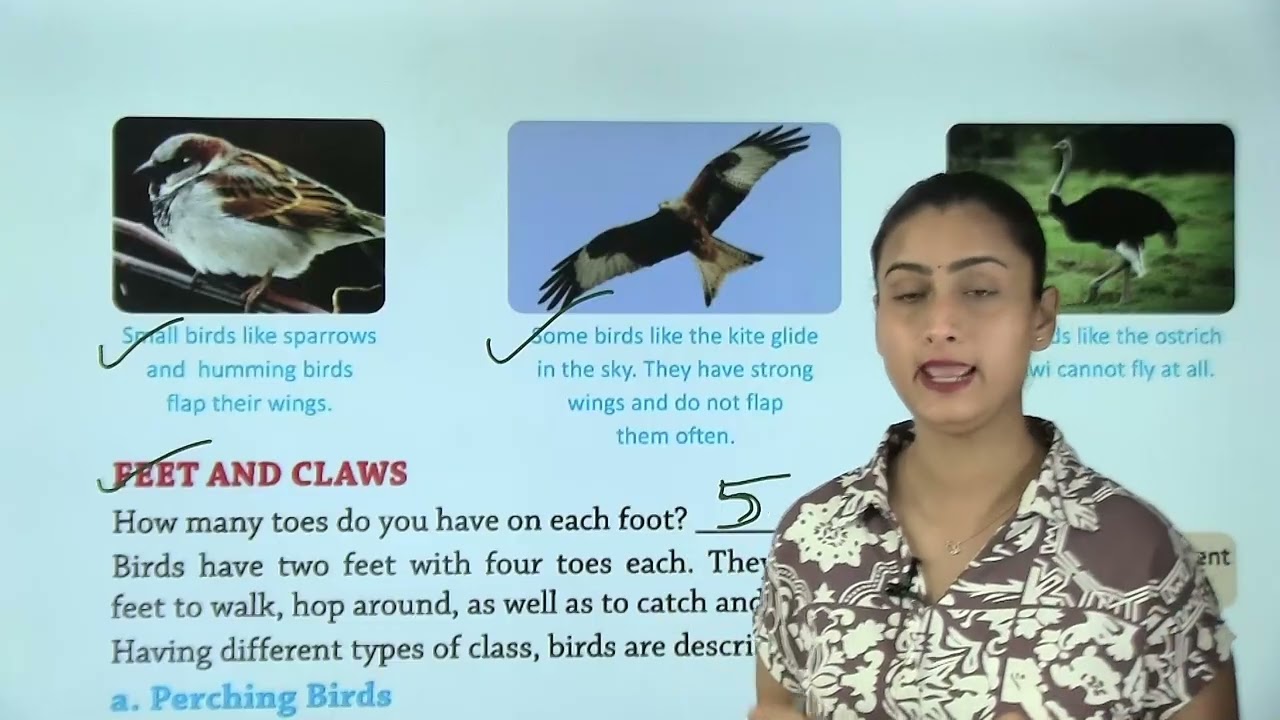Ch 3 | Birds | Catch Up With Science | Class 03 | Growing Mind | For children