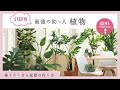 STEP10　最強の助っ人　植物