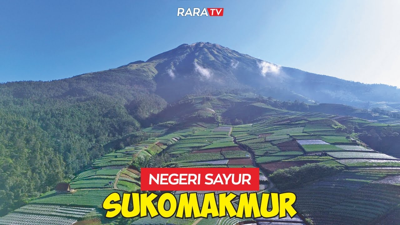 MENYUSURI TANAH SUBUR NEGERI SAYUR SUKOMAKMUR