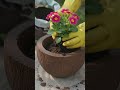 DIY Coconut Concrete Planter! 🥥🌿#concreteplanter #diycrafts #gardendecor #cementcraft #upcycle