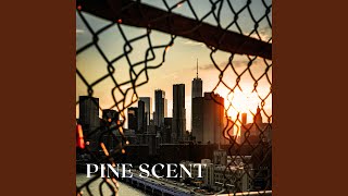 Download Lagu Pine Scent MP3