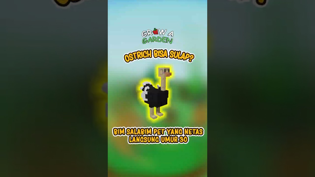 Pet Ini Bisa Sulap⁉️🗿 