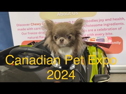 Canadian Pet Expo 2024‼️@MilaChihuahua