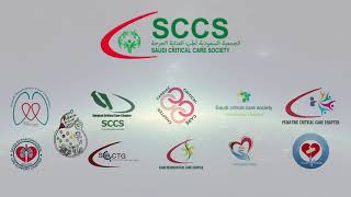 12 SCCS