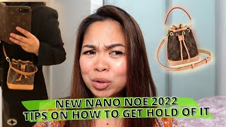 NEW NANO NOE 2022  WHAT DO WE KNOW SO FAR? 