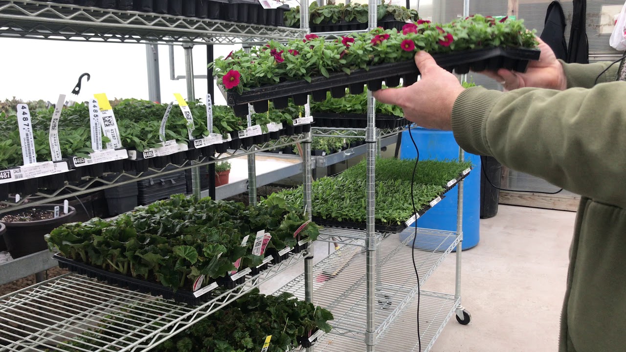 Join Kyle in the Gutterhouse