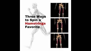 Pin and Stretch of the hamstrings muscles  | ErikDalton.com