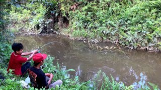 Mancing Di Parit Tenggah Hutan. Sampai Kualahan Karena Ikan Nya Nggak Mau Berhenti Makan