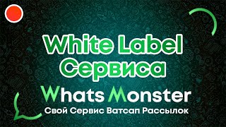 White Label сервиса WhatsMonster - краткий видео обзор