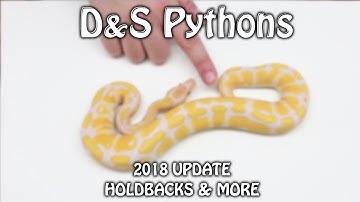 2018 Update | Holdbacks & More