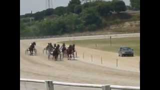 20100610 una bella corsa all' ipodromo di civitanova marche