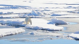 Arctic Melt: Will There Be A New Arms Race? | Forces TV