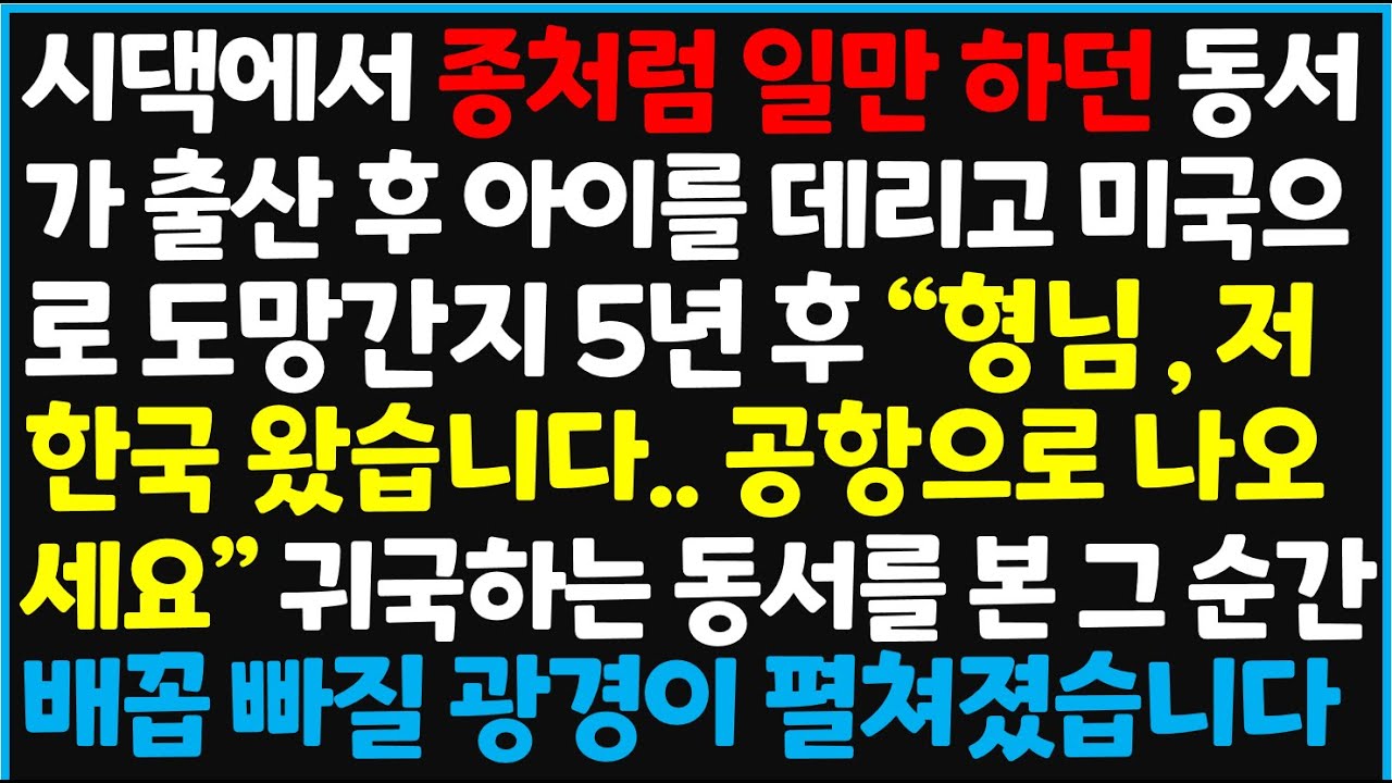 (신청사연) 시댁에서 종처럼 일만 하던 동서가 출산 후 아이를 데리고 미국으로 도망간지 5년 후 귀국하는데... 역대급 반전이! [사이다사연][감동사연][라디오 드라마][오디오북]