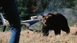 Grizzly 1976 Grizzly Bear Screen Time