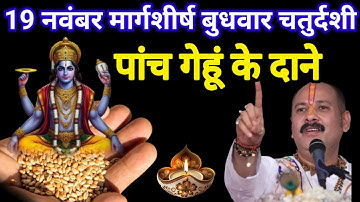 19 नवंबर मार्गशीर्ष बुधवार चतुर्दशी को 5 गेहूं के दाने वाला उपाय जरुर करे || Pradeep Ji Mishra