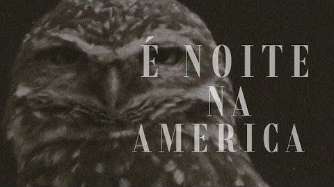 É Noite Na América (it