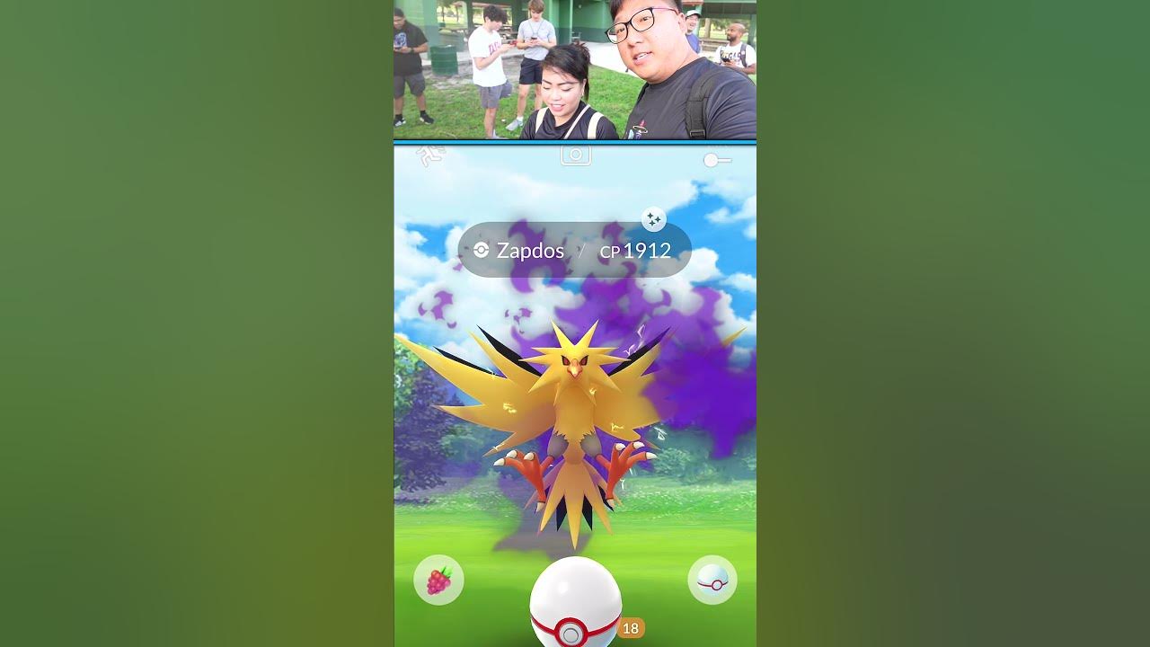 Level 50 Shadow Zapdos in the Go Battle Master League is…. - Pokemon GO 