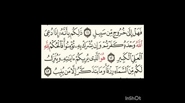 سورة غافر ١٢الى١٣ #سورةالفاتحة #اكسبلور #سورةالكوثر #المصحف #سورةالاخلاص #لايك #ترند #الرحمن