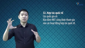 Công ước quốc tế về Quyền của người khuyết tật - Điều 32.1, Hợp tác quốc tế