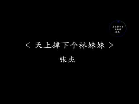 天上掉下个林妹妹 - 张杰   黛玉藏花吟 葬花鸣  这是她的宿命